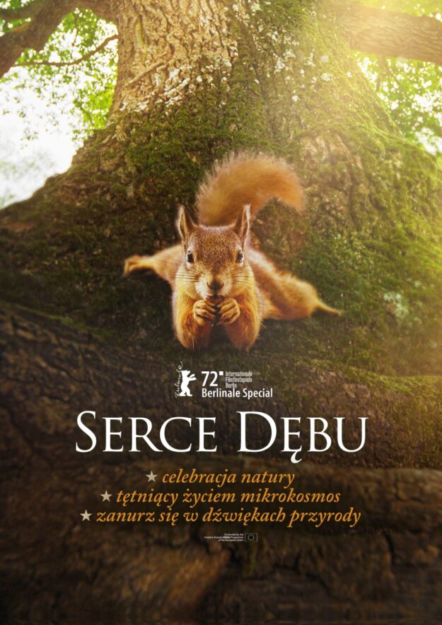 Serce_debu