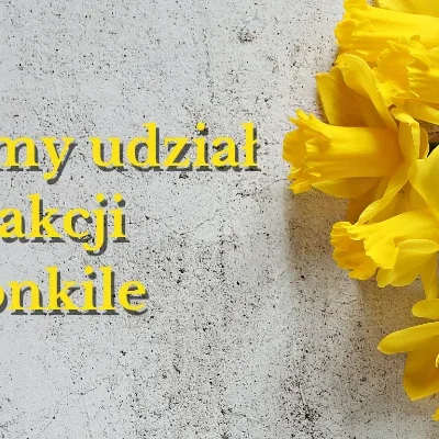 żonkile